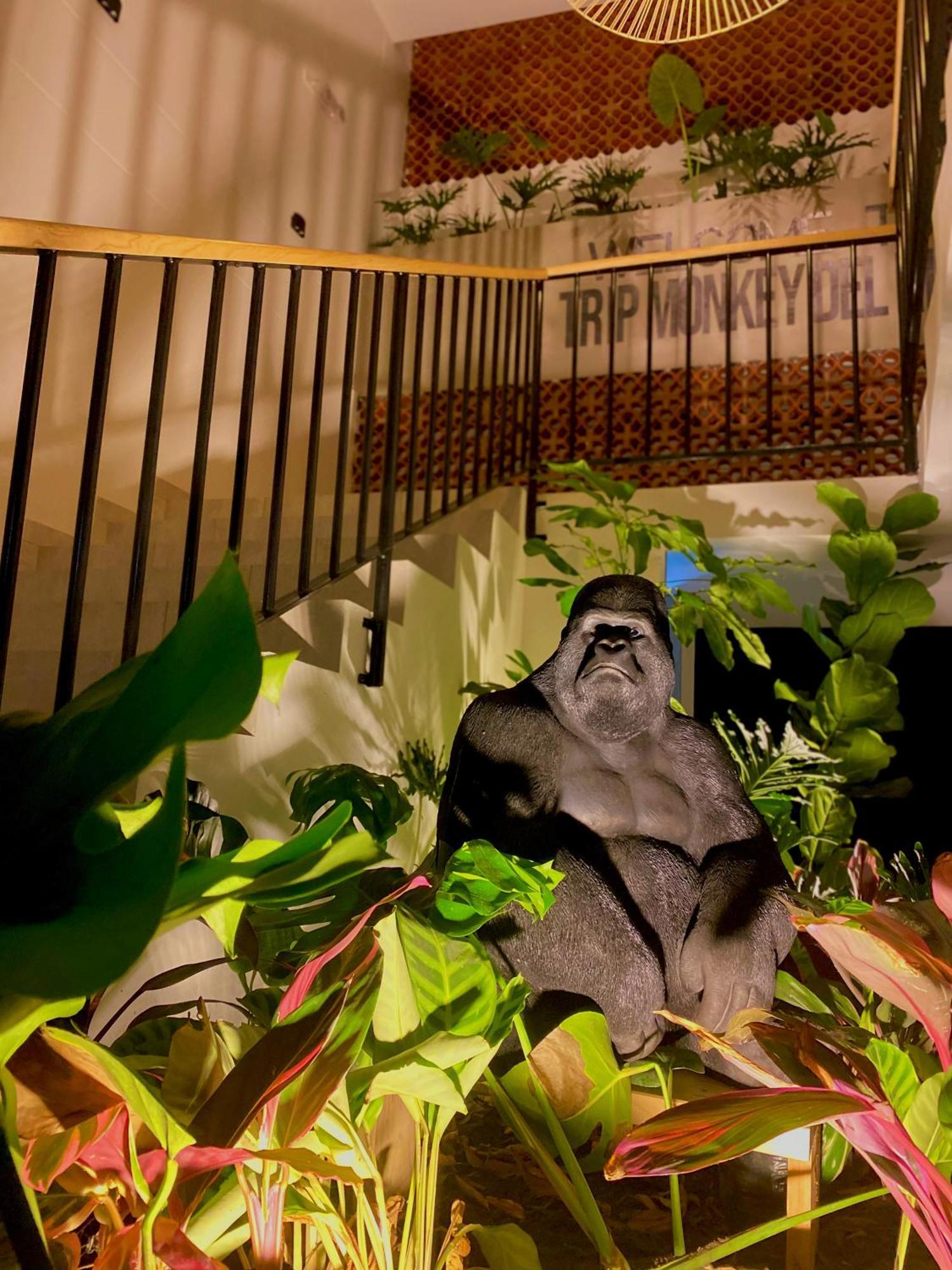 Hotel Trip Monkey Del Rio