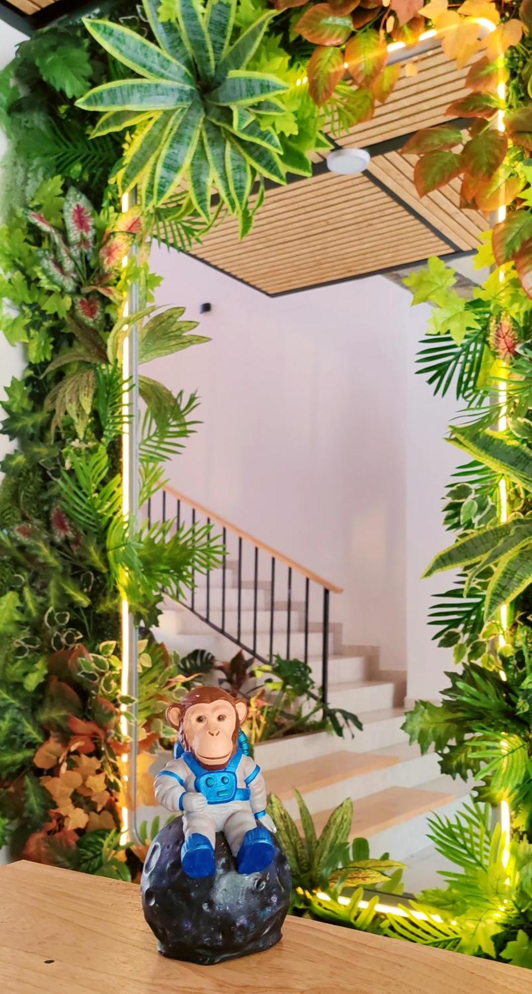 Trip Monkey Del Rio *