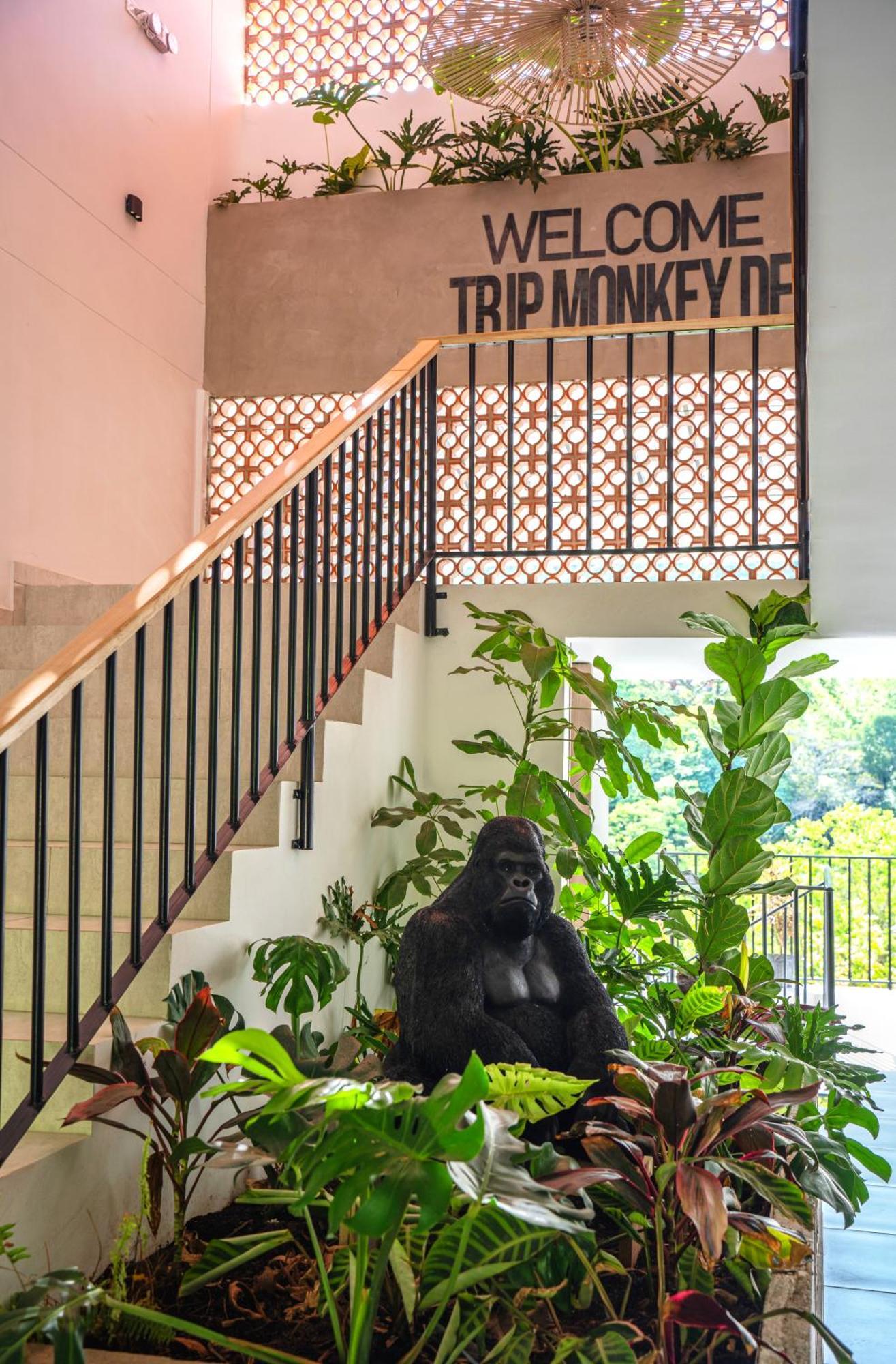 Trip Monkey Del Rio * San Gil